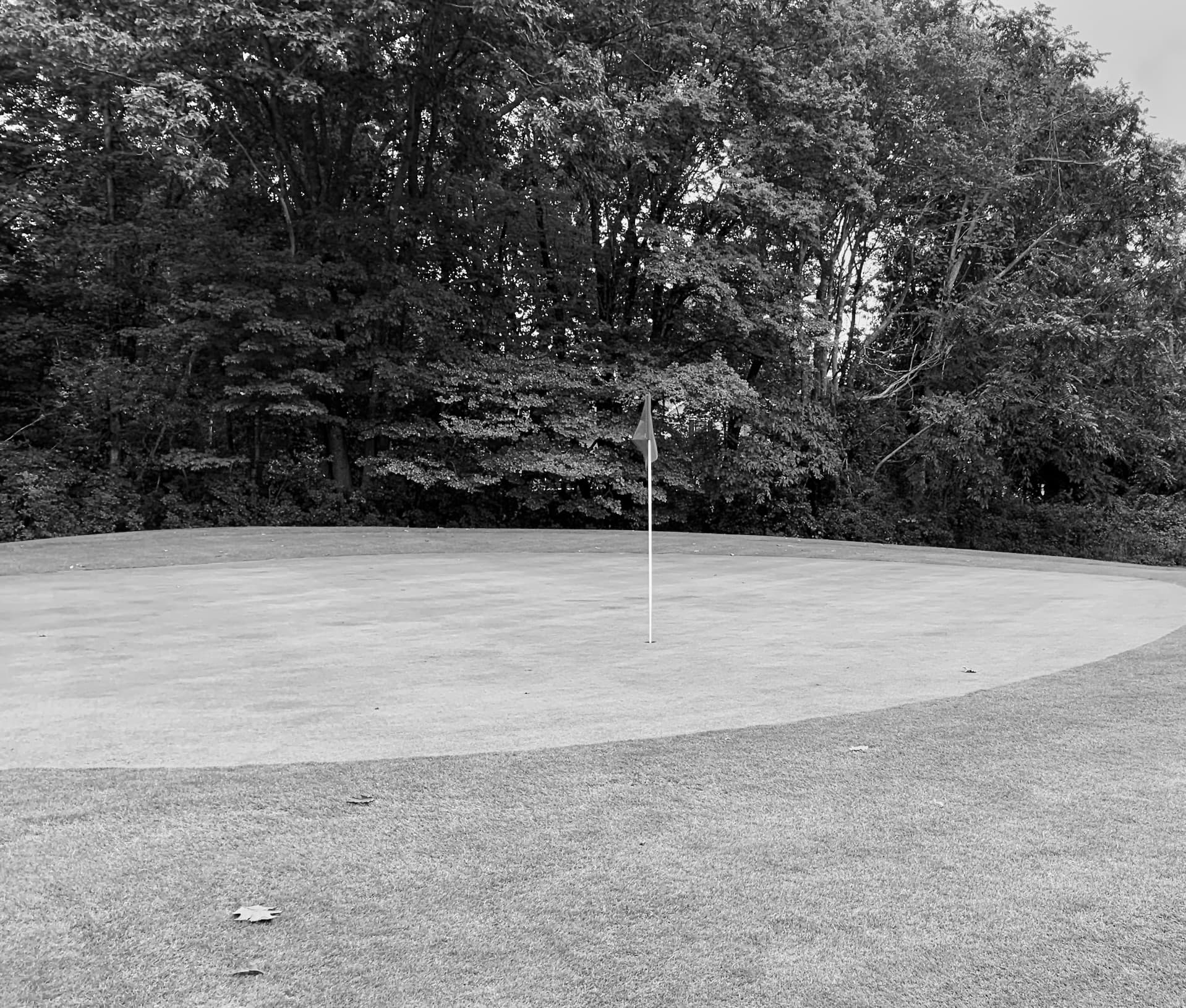 Golf course photo by Brandon Williams on Unsplash